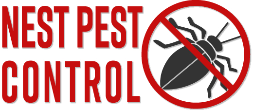 Nest Pest Control Service in Arlington | We eliminate pest problems