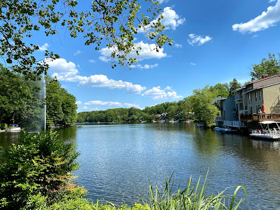 view of the river and trees in reston virginia